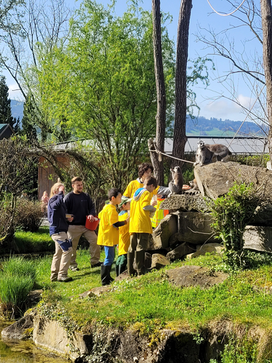 2024 Knie Kinderzoo: Affenfrühstück