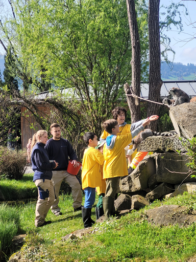 2024 Knie Kinderzoo: Affenfrühstück