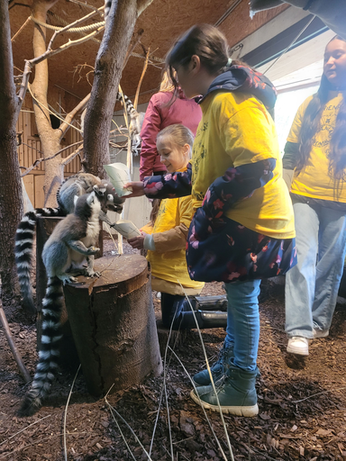 2024 Knie Kinderzoo: Affenfrühstück