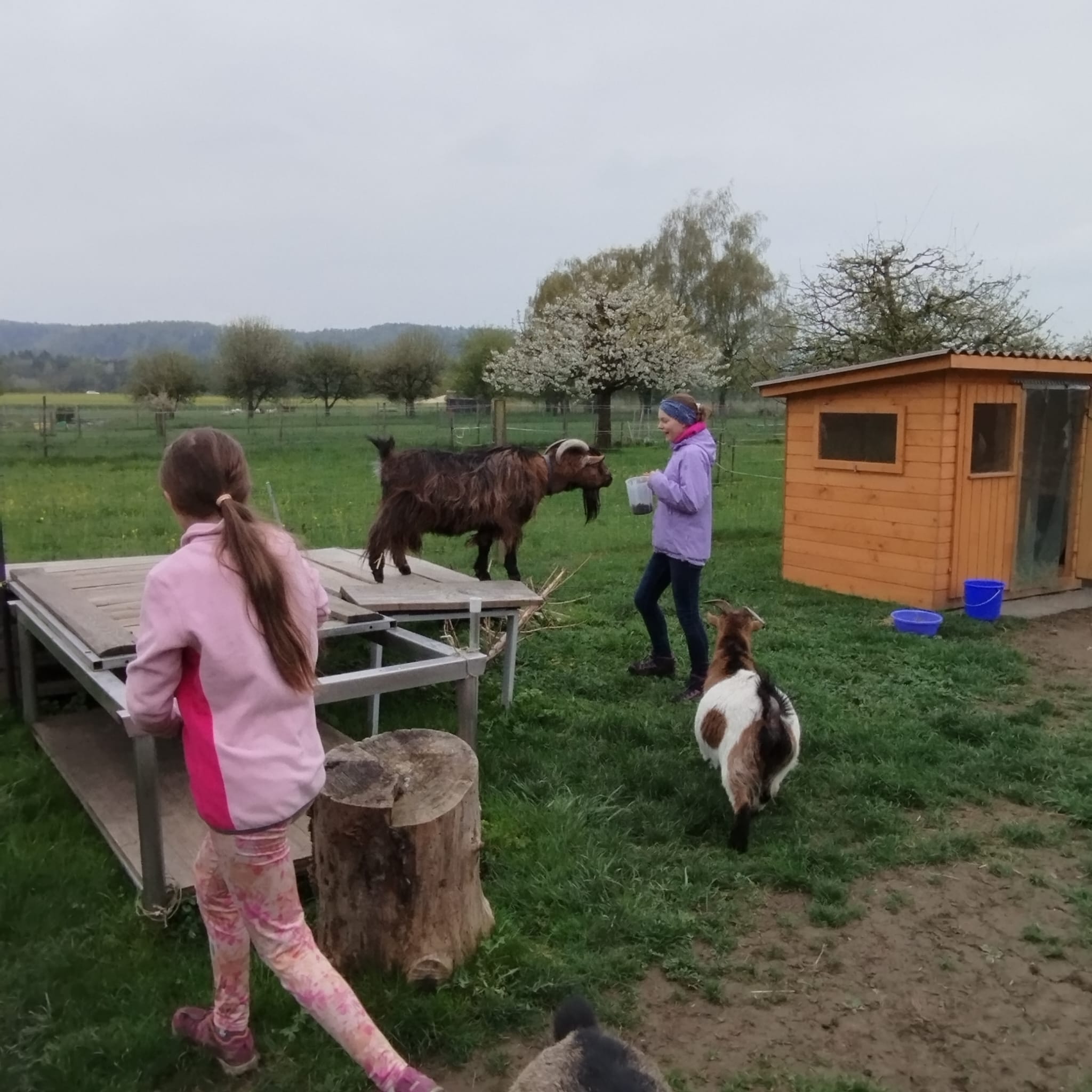 2026 Besuch auf dem Lebenshof TierMensch