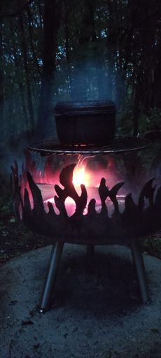 2024 Wenn es dunkel wird im Wald