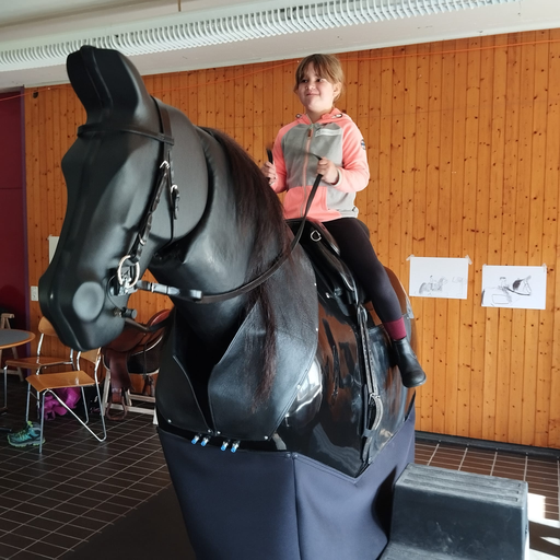 2026 Im Galopp durchs Farbenland