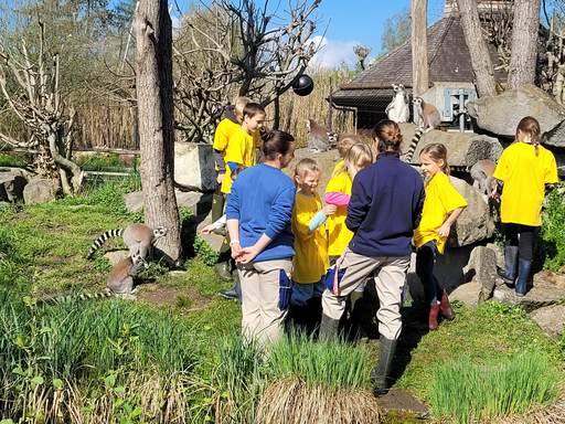 2026 Knie Kinderzoo - Affenfrühstück 