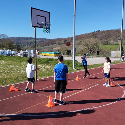 2026 Basketball