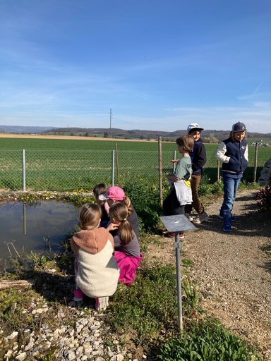 2026 Bienen erleben (Vormittag)
