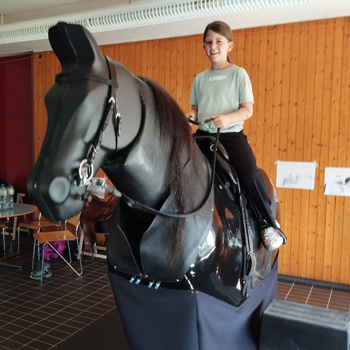 2026 Im Galopp durchs Farbenland