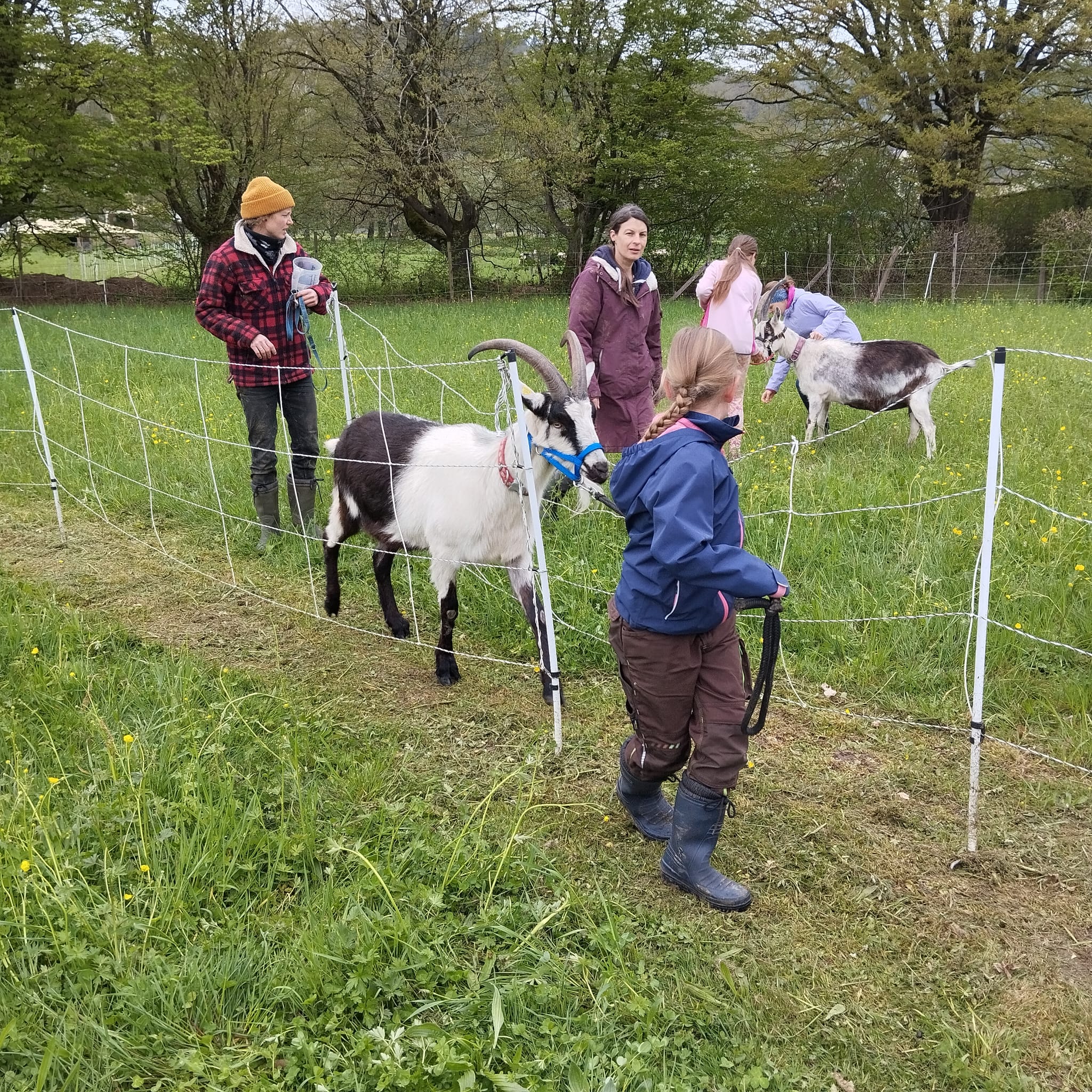 2026 Besuch auf dem Lebenshof TierMensch