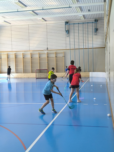 2026 Unihockey