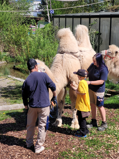 2026 Knie Kinderzoo - Affenfrühstück 