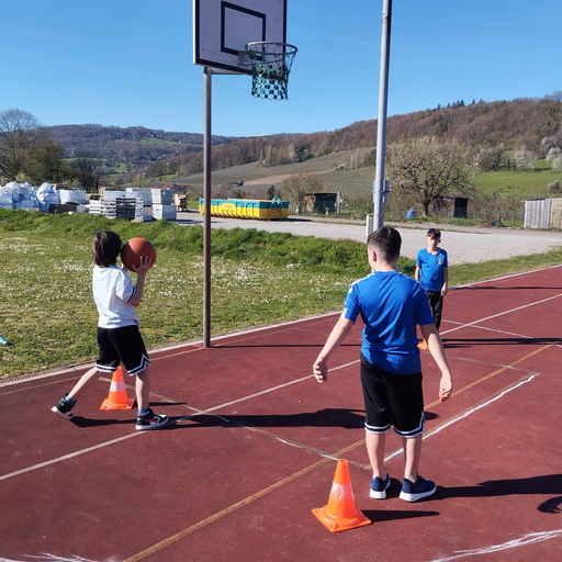 2026 Basketball