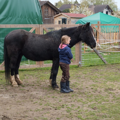 2026 Besuch auf dem Lebenshof TierMensch