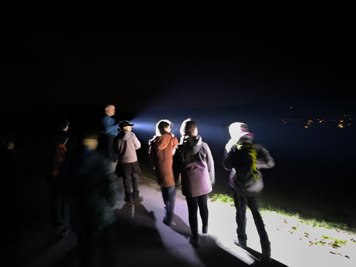 2026 Wenn es dunkel wird im Wald