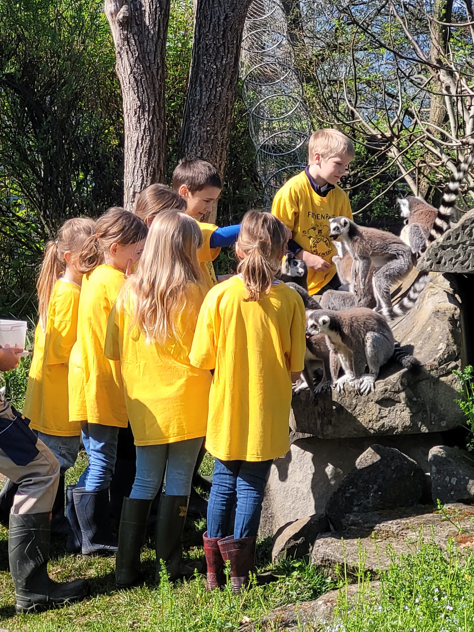 2026 Knie Kinderzoo - Affenfrühstück 