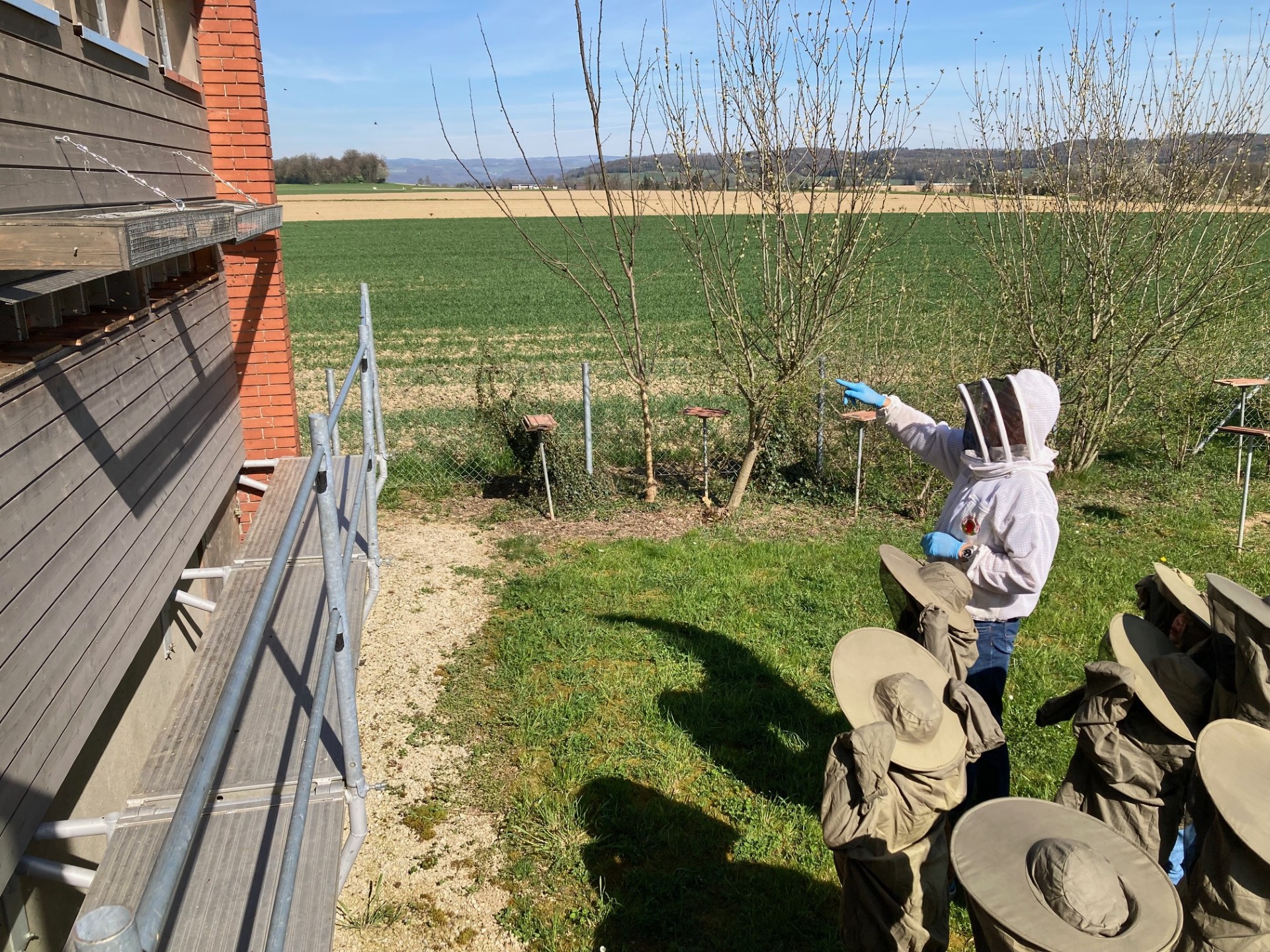 2026 Bienen erleben (Vormittag)