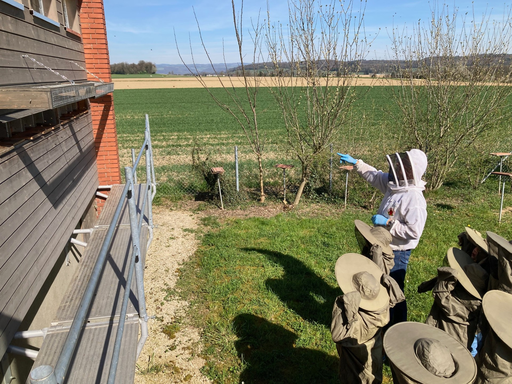 2026 Bienen erleben (Vormittag)