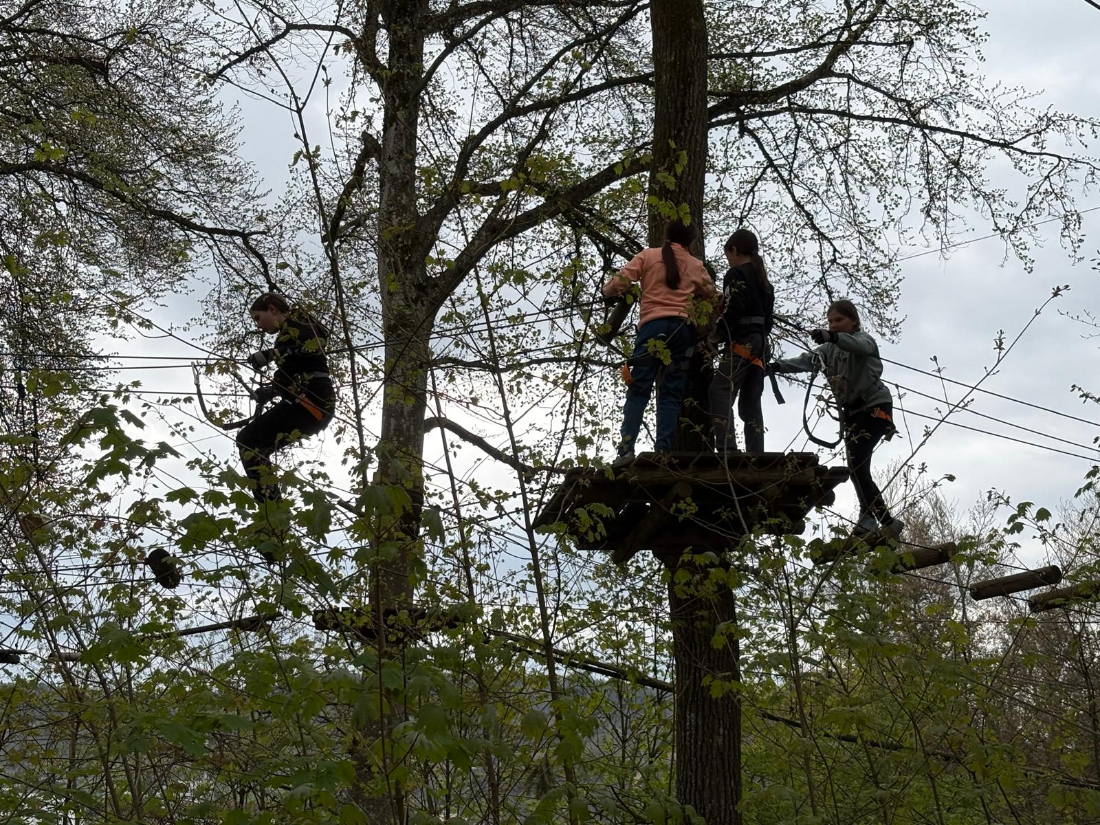 2026 Adventure Park Rheinfall