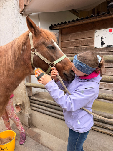 2026 Besuch auf dem Lebenshof TierMensch