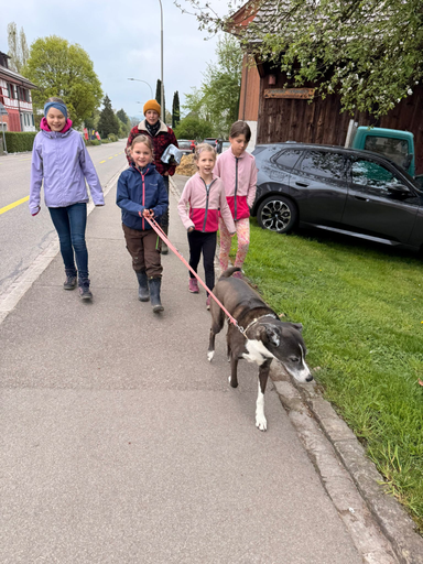 2026 Besuch auf dem Lebenshof TierMensch