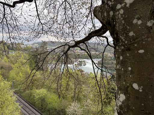 2026 Adventure Park Rheinfall