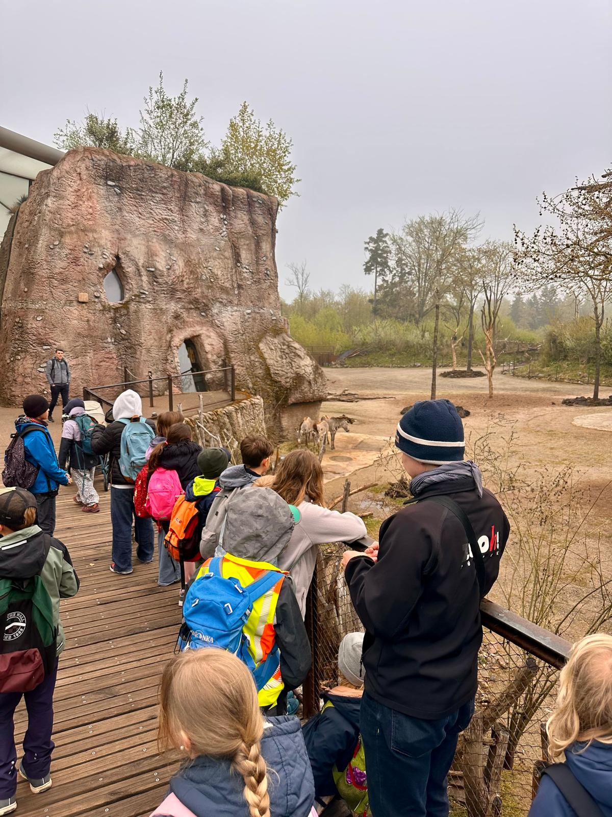 2026 Zoo Zürich - Führung durch die Lewa Savanne