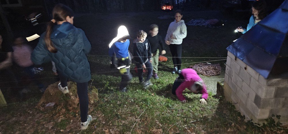 2026 Wenn es dunkel wird im Wald
