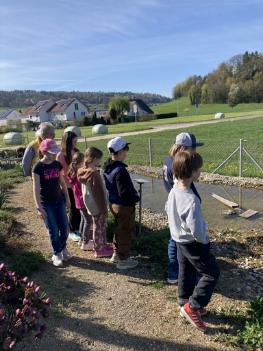 2026 Bienen erleben (Vormittag)