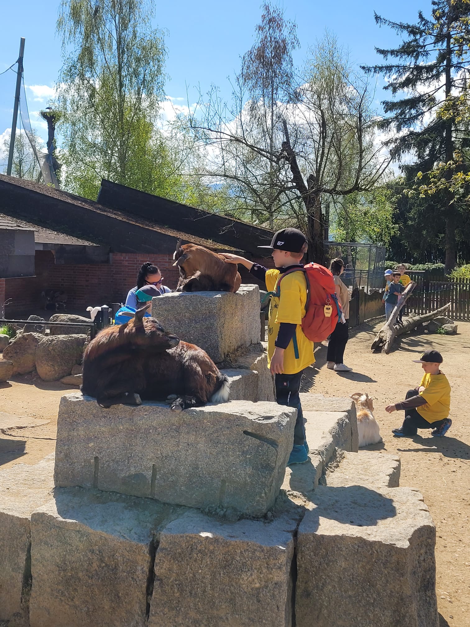 2026 Knie Kinderzoo - Affenfrühstück 