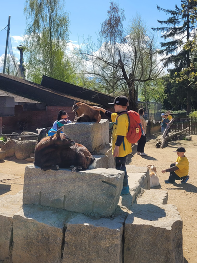 2026 Knie Kinderzoo - Affenfrühstück 