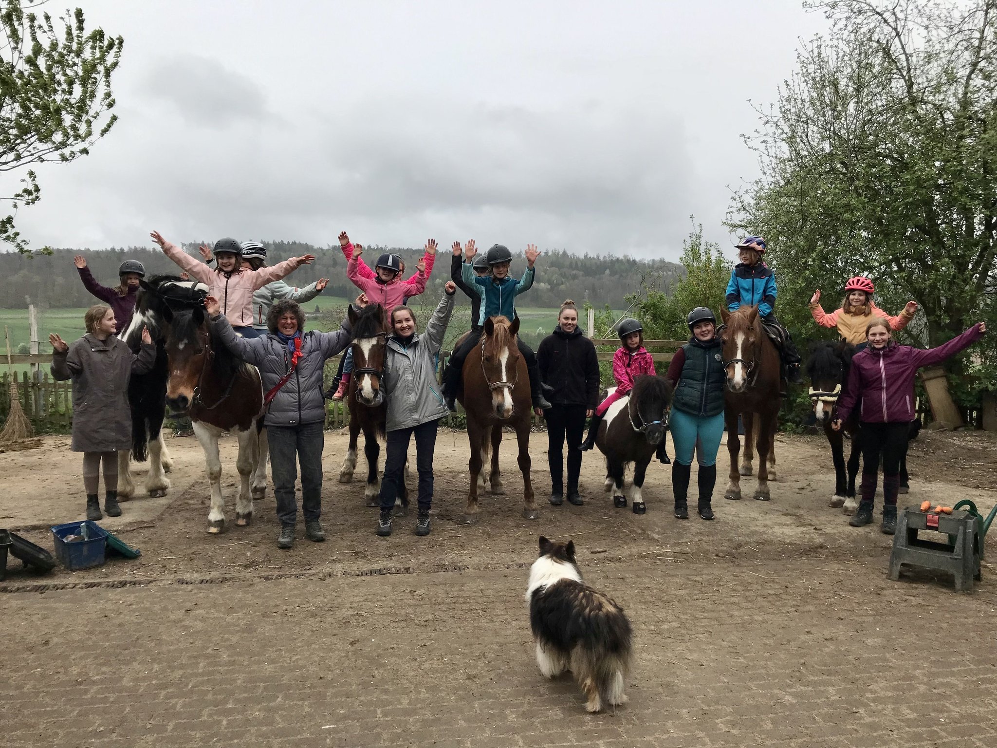 Ein Nachmittag mit Ponys und Pferden