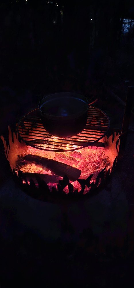 2026 Wenn es dunkel wird im Wald