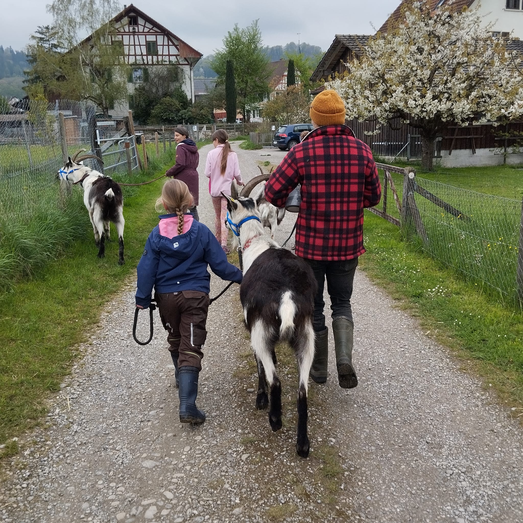 2026 Besuch auf dem Lebenshof TierMensch