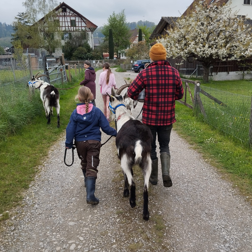 2026 Besuch auf dem Lebenshof TierMensch