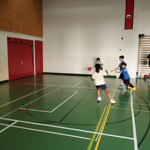 2026 Basketball
