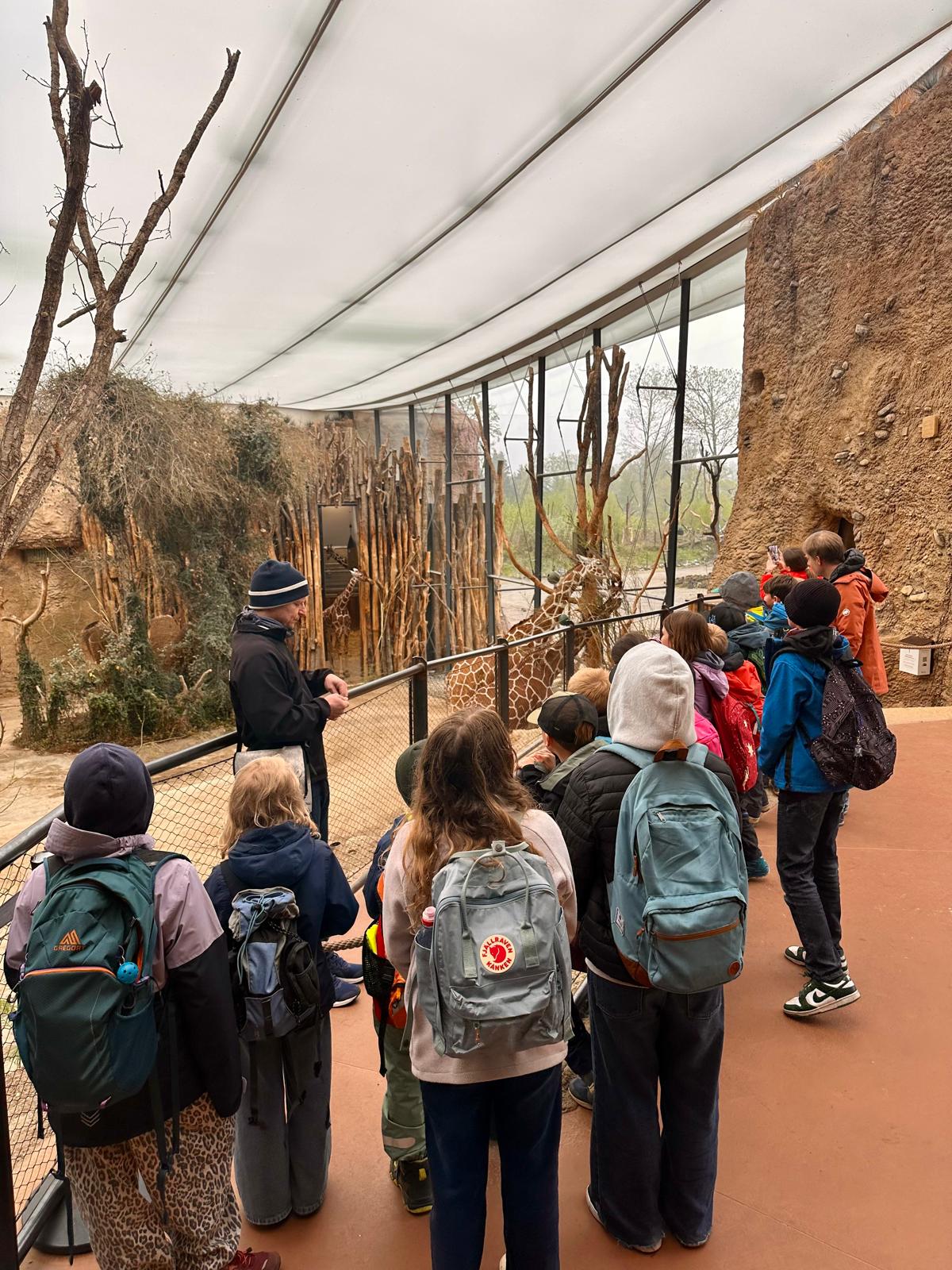 2026 Zoo Zürich - Führung durch die Lewa Savanne