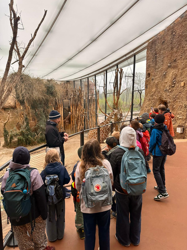 2026 Zoo Zürich - Führung durch die Lewa Savanne