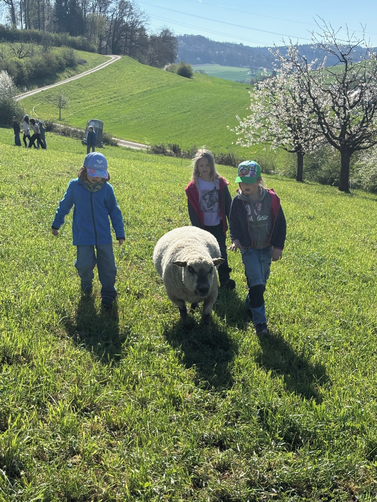 2026 Besuch bei den jungen Säuli und Lämmli