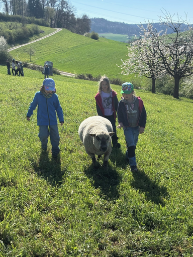 2026 Besuch bei den jungen Säuli und Lämmli