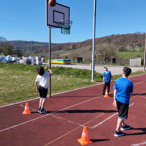 2026 Basketball