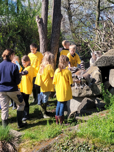 2026 Knie Kinderzoo - Affenfrühstück 
