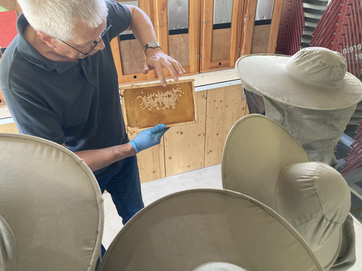 2026 Bienen erleben (Nachmittag)