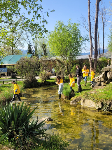 2024 Knie Kinderzoo: Affenfrühstück