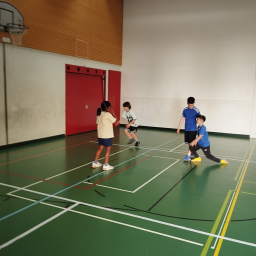 2026 Basketball