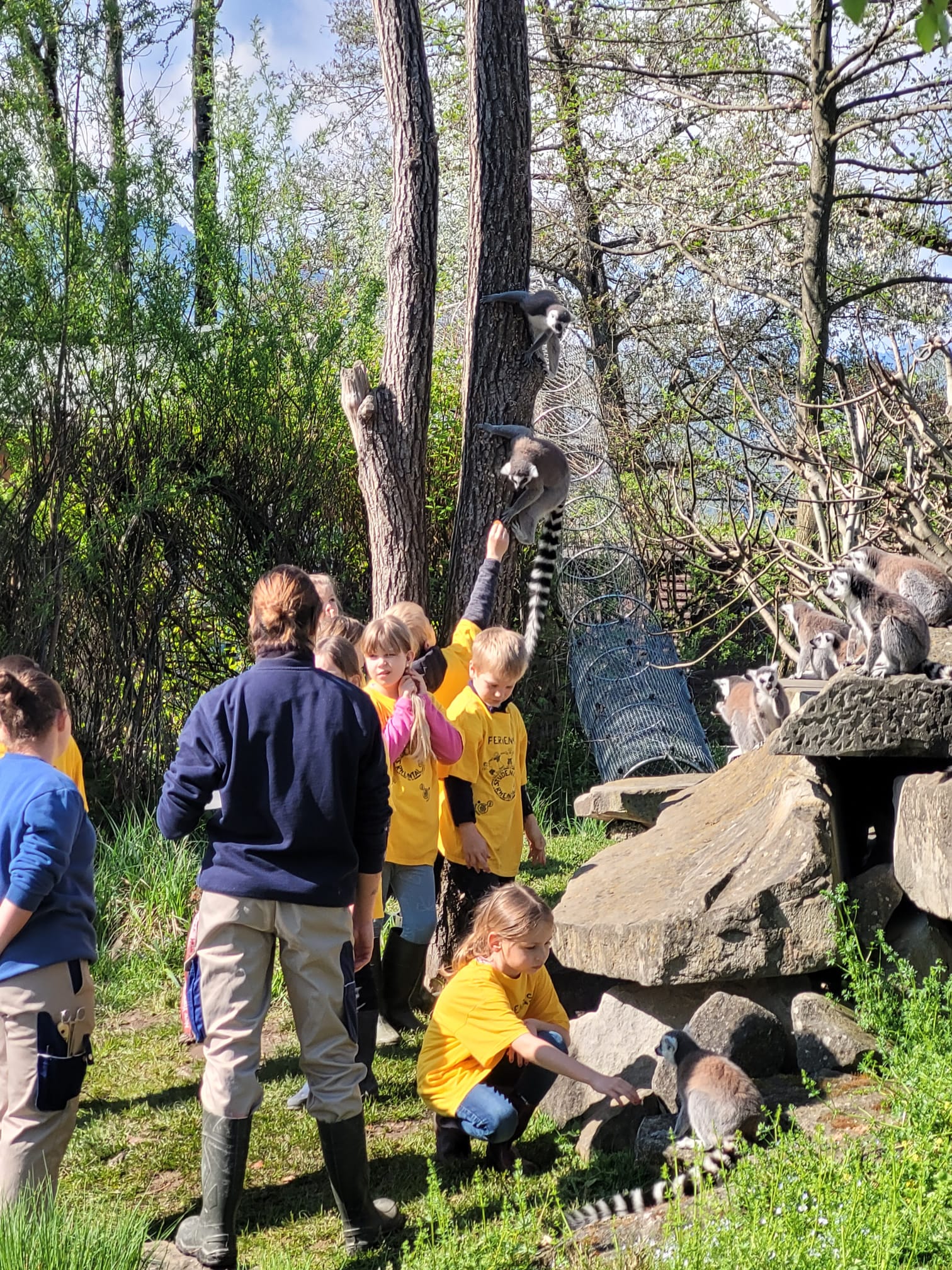 2026 Knie Kinderzoo - Affenfrühstück 