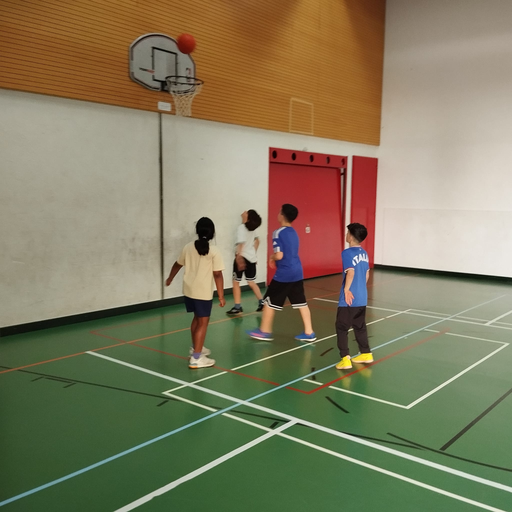 2026 Basketball