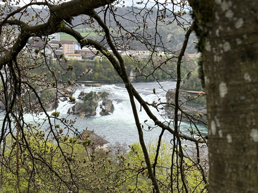 2026 Adventure Park Rheinfall
