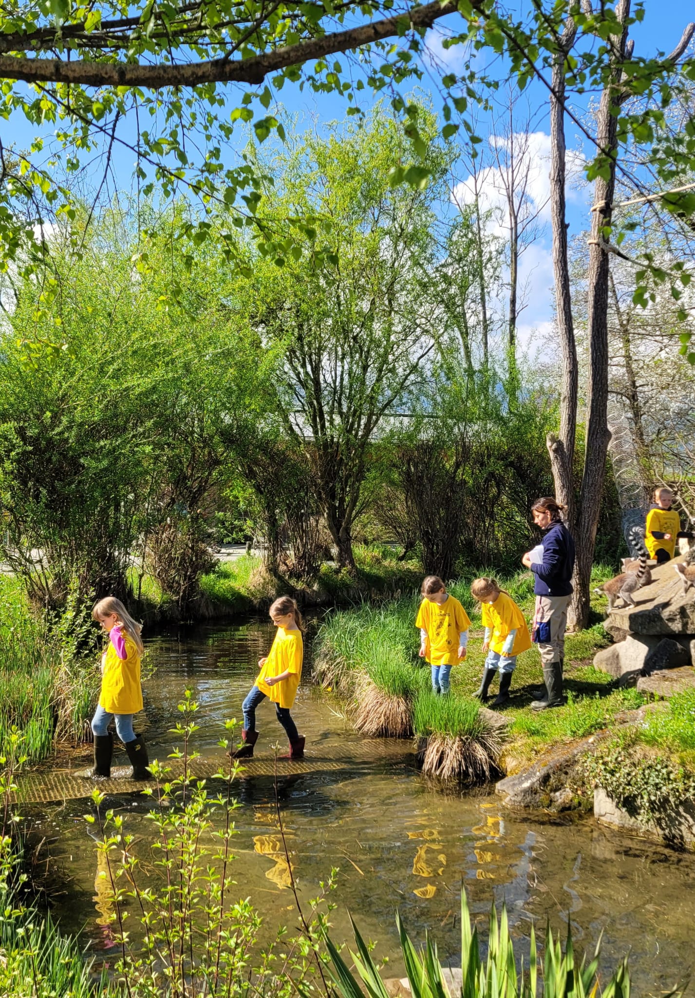 2026 Knie Kinderzoo - Affenfrühstück 