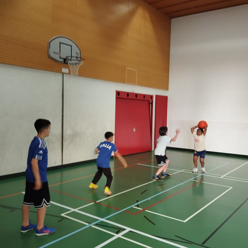 2026 Basketball