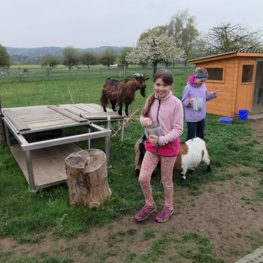 2026 Besuch auf dem Lebenshof TierMensch