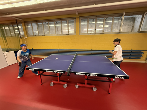 2026 Tischtennis für Anfänger und Fortgeschrittene